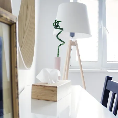 Luxurious, Spacious, Modern Gem. Great Location ! Apartment